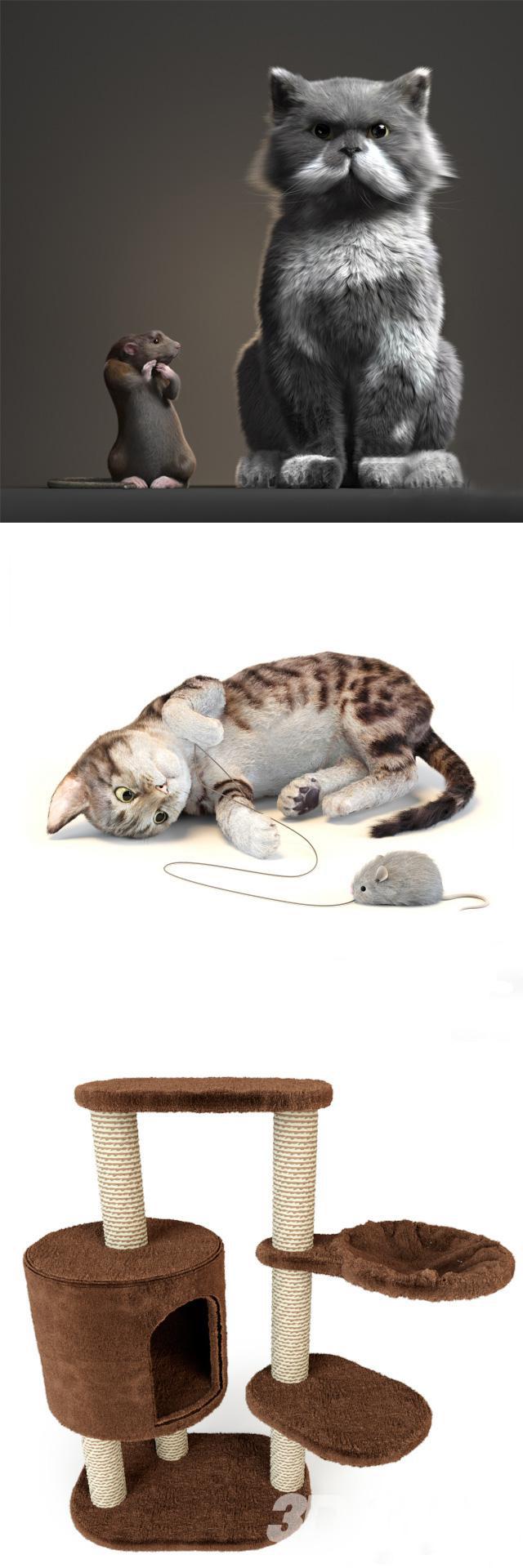 9个猫3d模型与一个猫舍组合