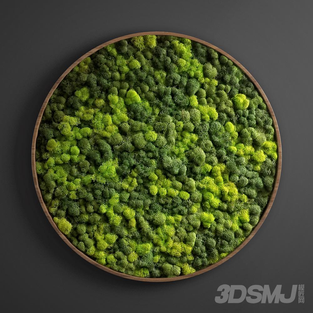 苔藓装饰画