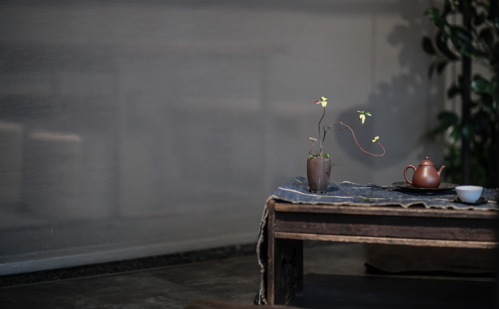 城市一隅古朴禅境小茶馆sw8studio