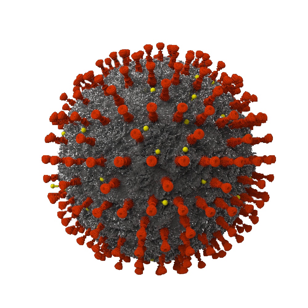 corona新冠病毒图片