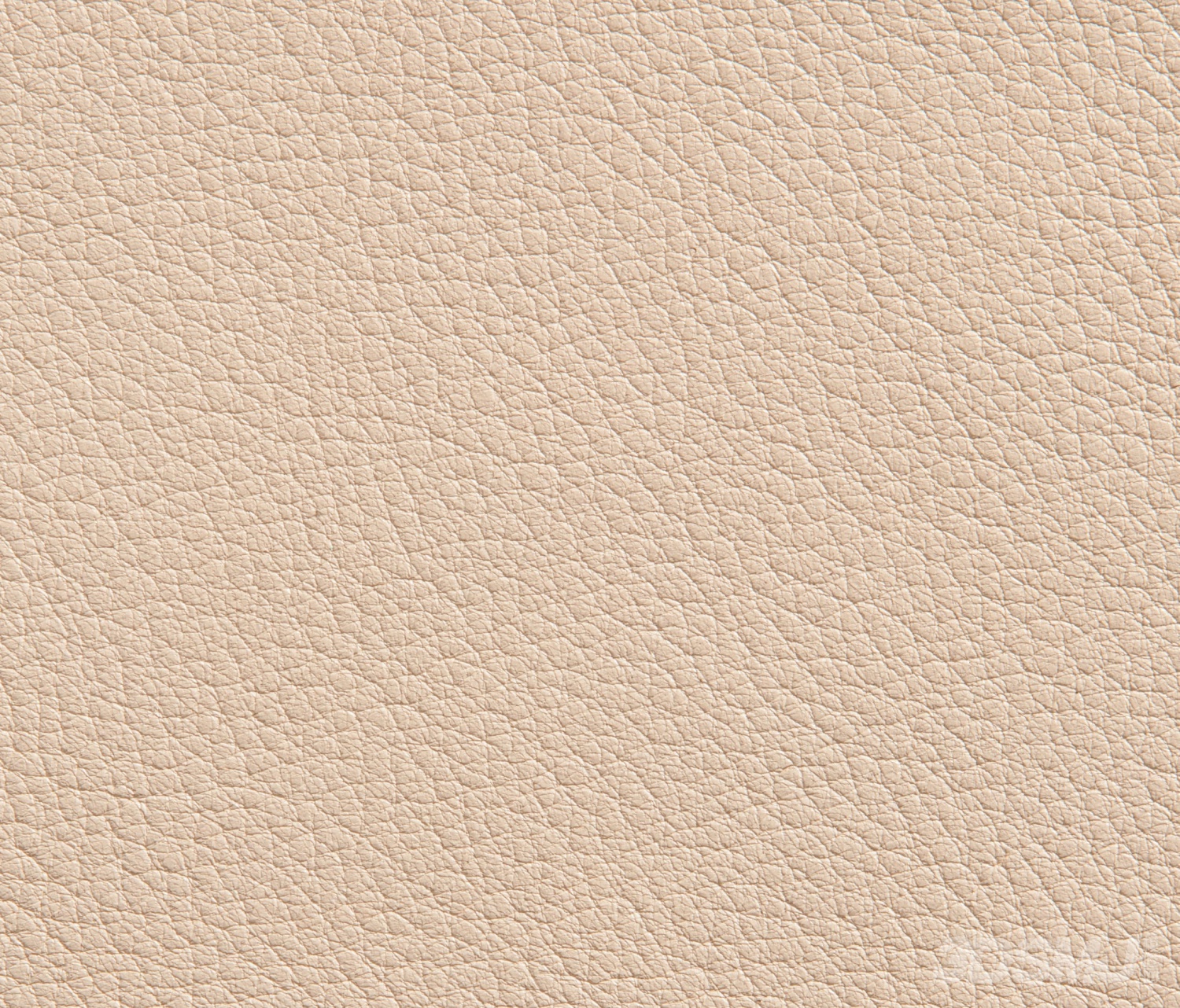 当前位置:贴图 皮革 皮质粗纹 皮革