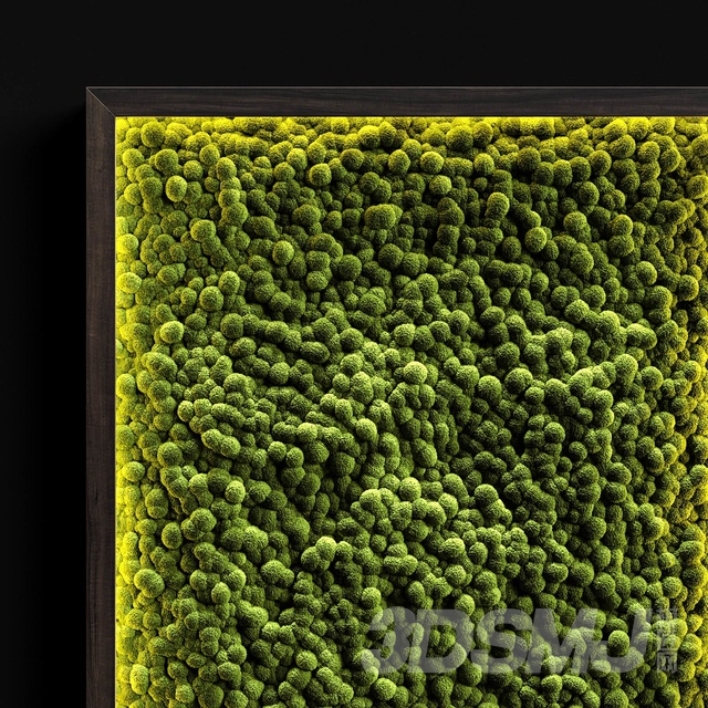 现代苔藓植物墙3d模型